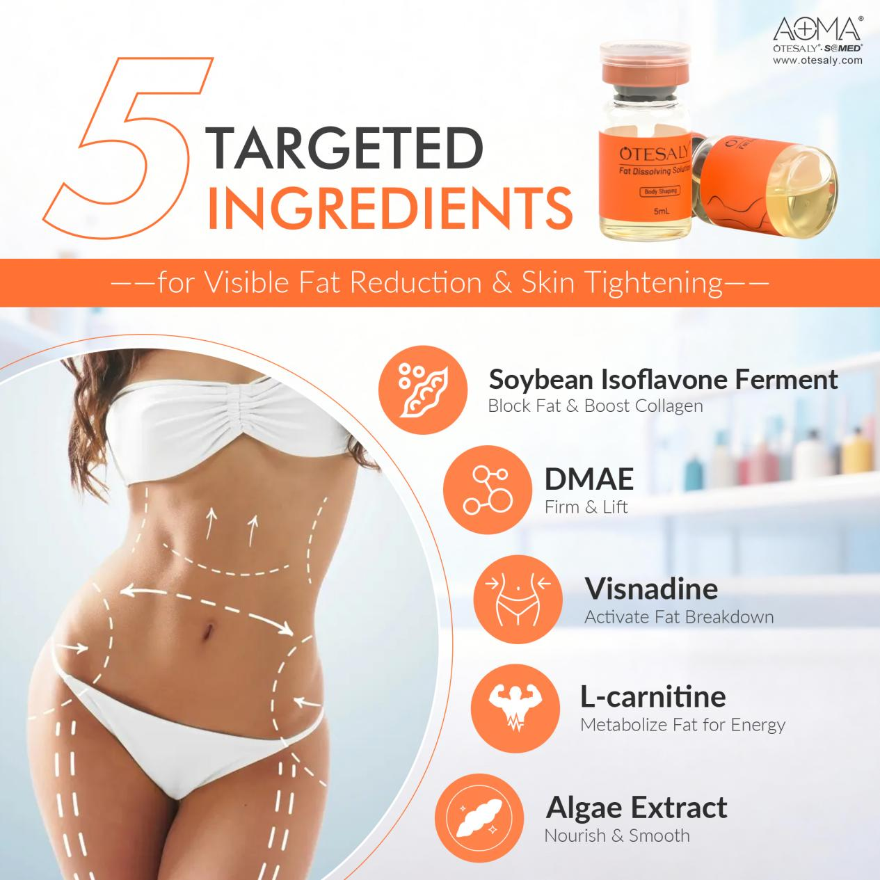 减脂中胚层疗法