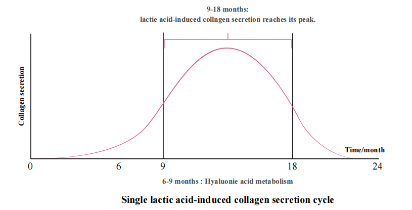 PLLA Filler Dermal filler for Anti-aging